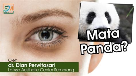Mata Panda Karena Apa